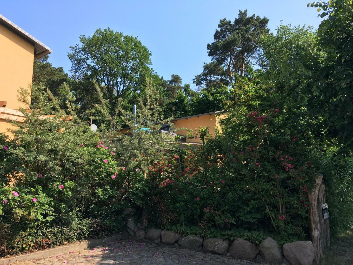 Fewo Am Strand In Koserow - Casa Del Mar - 42M Bis Zum Strand Zewnętrze zdjęcie